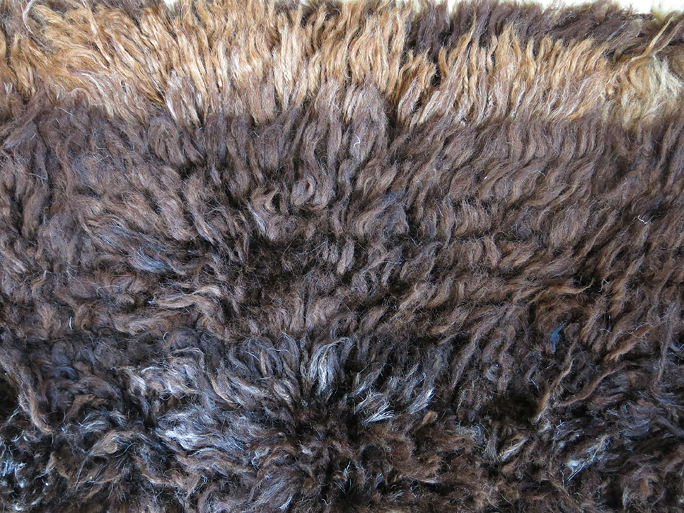 WESTERN ANATOLIAN Tribal Turkmen Bear skin rug